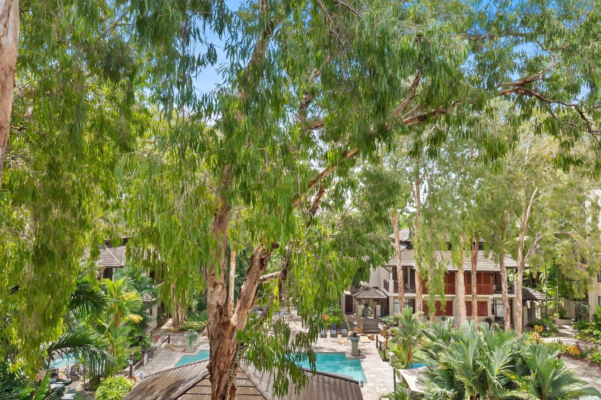 Private Apartments In The Temple Beachfront Resort Palm Cove Cameră foto